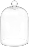 7.5" Tall Handmade Glass Cloche, Thick & Sturdy, Dia 5"xH 7.5", For Terrarium, Plants, Trinkets, Cakes, Figurines, LED Light String, Candle. Cloche Glass Dome, Bell Jar Display Case (1, 5.12"x7.48") by Unknown