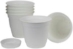 The HC Companies Eclipse Round Planter Pot, 8 Inch, White, 6-Pack by TheHCCompanies