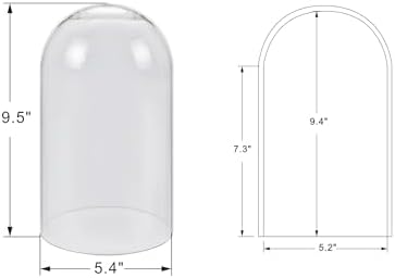 10" Tall Clear Glass Display Cloche, Dome Shape for Terrarium, Plants, Trinkets, Cakes, Figurines, LED Light String, Candle. Cloche Glass Dome, Bell Jar Display Case (1, 5.5"x10") - Image 2