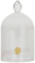 Alice Lane Clear Glass Cloche Dome Case for Home Decor and Keepsakes Salt by AliceLaneHomeCollection