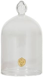 Alice Lane Clear Glass Cloche Dome Case for Home Decor and Keepsakes Salt by AliceLaneHomeCollection