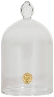 Alice Lane Clear Glass Cloche Dome Case for Home Decor and Keepsakes Salt by AliceLaneHomeCollection