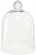 CYS EXCEL Glass Bell Dome Cloche (H:16" W:12") Enchanted Rose Glass Cover Cake Dessert Display Terrarium Jar Plant Cover by CYSEXCEL%C2%AE