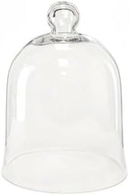CYS EXCEL Glass Bell Dome Cloche (H:16" W:12") Enchanted Rose Glass Cover Cake Dessert Display Terrarium Jar Plant Cover by CYSEXCEL%C2%AE