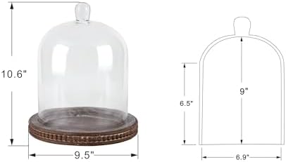 11" High Large Handmade Sturdy Glass Cloche With Rustic Brown Beaded Wooden Base In Farmhouse & Cottage Style, For Terrarium, Trinkets, Cakes, Figurines (Brown, 7.5"x10.6") - Image 2
