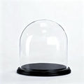 CYS EXCEL Glass Cloche Dome with Black Wood Base (H:11" D:11") | Multiple Size Choices Decorative Showcase Display for Antique Collectibles | Bell Jar Terrarium & Dessert Cover by CYSEXCEL%C2%AE