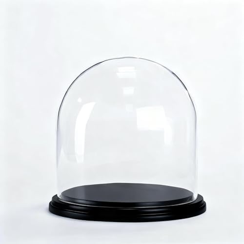 CYS EXCEL Glass Cloche Dome with Black Wood Base (H:11" D:11") | Multiple Size Choices Decorative Showcase Display for Antique Collectibles | Bell Jar Terrarium & Dessert Cover by CYSEXCEL%C2%AE