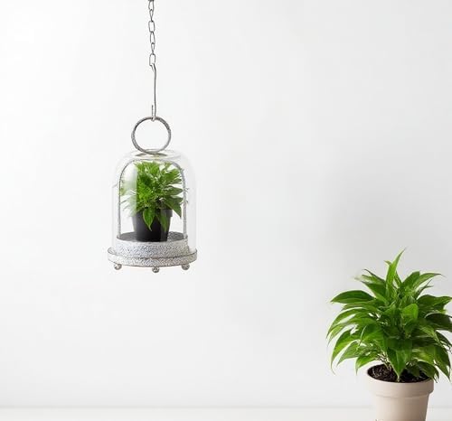 7.5" High Versatile Modern Metal Hurricane Lantern with Handmade Sturdy Glass Dome in Shabby White for 2" Pillar Candle & Plants, Industrial, Farmhouse (White Shabby, 4" x7.5 for 2" Pillar) - Image 4