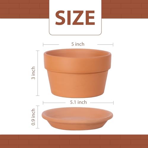 INGOFIN 5 Inch Terracotta Shallow Pots Set with Saucer - Ceramic Clay Pots with Drainage Hole, Terra Cotta for Plants for Indoor Outdoor Plants, Set of 6 - Image 2