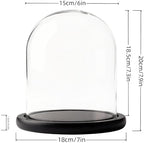 Glass Cloche Bell Jar Display Dome 6x7 Inch, Clear High Borosilicate Glass Bell Jar with Black Wooden Base, Dustproof Display Case for Plants Candles Jewelry Home Wedding Decor - Image 3
