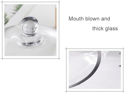 Handmade Glass Cloche, Thick & Sturdy, Dia 6"xH 12", For Terrarium, Plants, Trinkets, Cakes, Figurines, LED Light String, Candle. Cloche Glass Dome, Bell Jar Display Case (1, 6"x12") - Image 3
