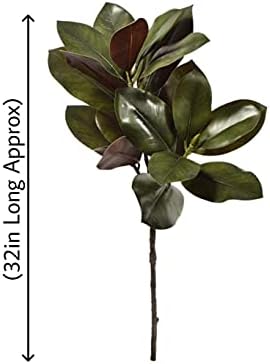 Serene Spaces Living 32in Tall Artificial Magnolia Leaves Spray, Ideal to Hang at Wedding, Store Display, Window Sill, Fall Decor, Perfect Holiday Décor - Image 4