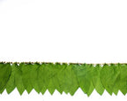 Desi Favors Artificial Silk Mango Leaves Garland Door Toran - Green Toran for Indian Decorations Backdrop, Wedding, Diwali, Pooja, Dussehra, Housewarmings,Multi Festival Bandanwar - 6 Ft (Pack of 1) - Image 6