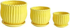 Yellow Ceramic Flower Pots with Saucers, Modern Round Ceramic Succulent Plant Pots with Stripe Texture, Small to Medium Sized, Set of 3 - Image 4