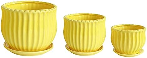 Yellow Ceramic Flower Pots with Saucers, Modern Round Ceramic Succulent Plant Pots with Stripe Texture, Small to Medium Sized, Set of 3 - Image 4