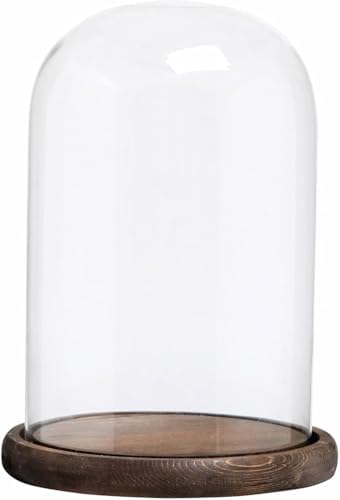 Glass Cloche Bell Jar with Wooden Base,Clear Glass Display Dome Cover,khaki by VUFVOID