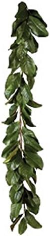 Magnolia 5' Garland or 28" Magnolia Wreath in All Green Leaves or Mixed Burgundy and Green Leaves Buyers' Choice (Green Garland) by Unknown
