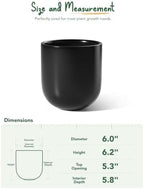 LE TAUCI 6 Inch Ceramic Plant Pot, Small Indoor Planter, Black - Image 4