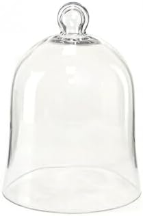 CYS EXCEL Glass Bell Dome Cloche (H:12" W:8.5") | Multiple Size Choices Enchanted Rose Glass Cover | Cake Dessert Display | Terrarium Jar Plant Cover by CYSEXCEL%C2%AE