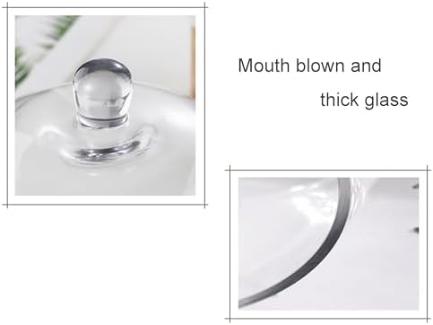 10" Tall Large Handmade Sturdy Glass Cloche, Dia 7.3" H 10.6", For Terrarium, Plants, Trinkets, Cakes, Figurines, LED Light String, Candle. Cloche Glass Dome, Bell Jar Display Case (1, 7.5 * 10.6") - Image 3