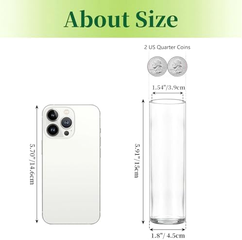 Hewory Cylinder Glass Bud Vases: Set of 12 Small Clear Skinny Single Flower Vase for Centerpieces - Minimalist Bulk Vases for Wedding Birthday Bridal Shower Party Events Table Decor, 5.91"(H)×1.8"(D) - Image 3