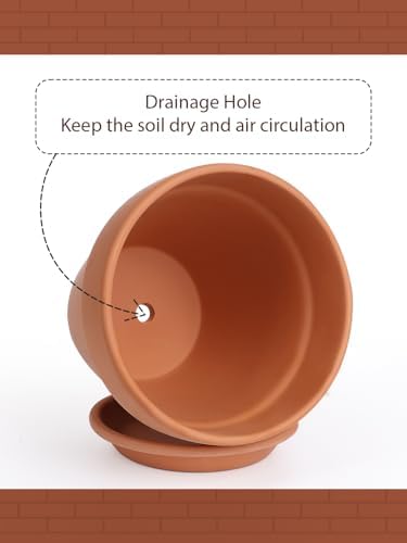 INGOFIN Terracotta Pot with Saucer - 10 Inch Ceramic Clay Pot for Plants with Drainage Hole, Large Terra Cotta Flower Planter with Tray for Indoor Outdoor Plants - Image 3