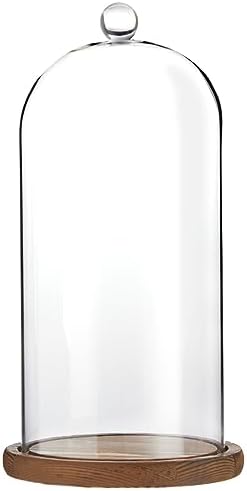 Farmlyn Creek Glass Dome Cloche Display Case - 5.1 x 5.1 x 10 in, Clear Dome & Wood Base - Cloche & Glass Cover - Succulent & Collectible Display by FarmlynCreek
