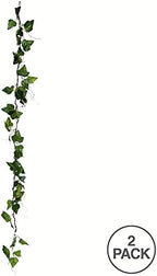 Vickerman 56" Artificial Green Ivy Garland - 2 Pack - Faux Floral Decor - Greenery Accent - Maintenance Free - Natural and Realistic Garland - Everyday or Special Occasion - Image 3