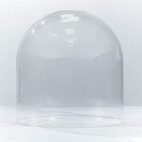 CYS EXCEL Glass Cloche Dome with Lightly Charred Wood Base (H:11" D:11") | Multiple Size Choices Decorative Showcase Display for Antique Collectibles | Bell Jar Terrarium & Dessert Cover - Image 5