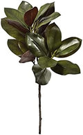 Serene Spaces Living 32in Tall Artificial Magnolia Leaves Spray, Ideal to Hang at Wedding, Store Display, Window Sill, Fall Decor, Perfect Holiday Décor by SereneSpacesLiving