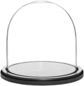 Plymor 8" x 8" Glass Display Dome Cloche (Black MDF Wood Base) by Plymor