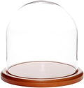 Plymor 8" x 8" Glass Display Dome Cloche (Walnut MDF Base) by Plymor