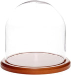 Plymor 8" x 8" Glass Display Dome Cloche (Walnut MDF Base) by Plymor