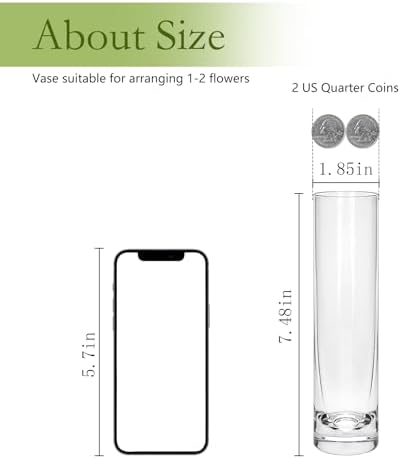 7.48 inch Tall Vases for Flowers,12PCS Glass Cylinder Vase,Bud Vase - Image 2