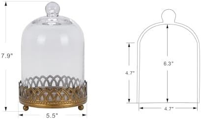 Twakutwku 8" Tall Large Sturdy Handmade Glass Cloche Dome with Metal Base in Gold for Plant, Terrarium, Collectibles, Candle. Cloche Glass Dome, Bell Jar Display Case (Gold, 8") - Image 2