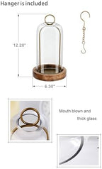 12" High Versatile Vintage Brass Metal Candle Holder with Handmade Sturdy Glass Dome and Natural Wooden Base for Pillar Candle & Plants, Industrial, Farmhouse, Shabby Chic, Display Cloche Bell Jars - Image 2