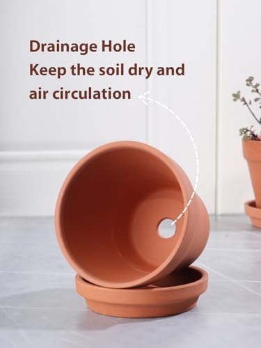 INGOFIN 4 Inch Terracotta Pots with Saucers, 8 Pack Shallow Clay Plant Pots with Drainage Holes for Succulents, Cactus, Herbs, Small Terra Cotta Pots for Indoor Outdoor, Set of 8 - Image 4