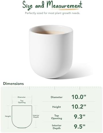 LE TAUCI 10 Inch Plant Pot, Ceramic Pots for Plants, White - Image 6