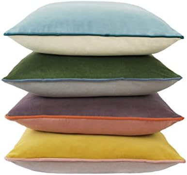 Set of 4 Velvet Throw Pillow Covers Soft Throw Pillow Cases 22x22 Inches Square Cushion Covers for Bed Couch Sofa Home Decorative by Btyrle