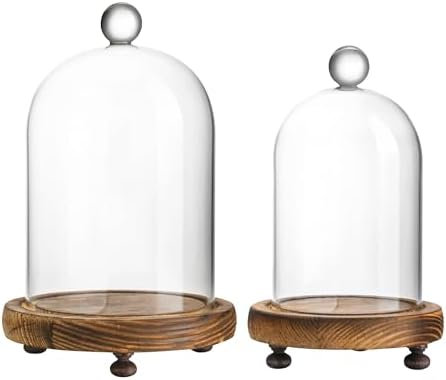 ZEERSHEE Cloche Glass Dome with Wooden Base, Set of 2 Display Bell Jars by ForCrystalLovers