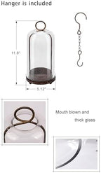 12" High Versatile Modern Metal Hurricane Lantern with Handmade Sturdy Glass Dome in Rustic Brown for Pillar Candle & Plants, Industrial, Farmhouse, Shabby Chic (Brown, 5"x12") - Image 2