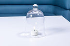 Abbott Collection 27-Carolyn-SM Cloche, 6 inches H, Clear (Pack of 2) - Image 5
