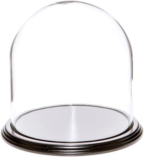 Plymor 8" x 8" Glass Display Dome Cloche (Black Wood Veneer Base) by Plymor