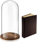16'' × 8.66'' Glass Dome Cloche Display with Wood Base, Clear Display Jar by Unknown