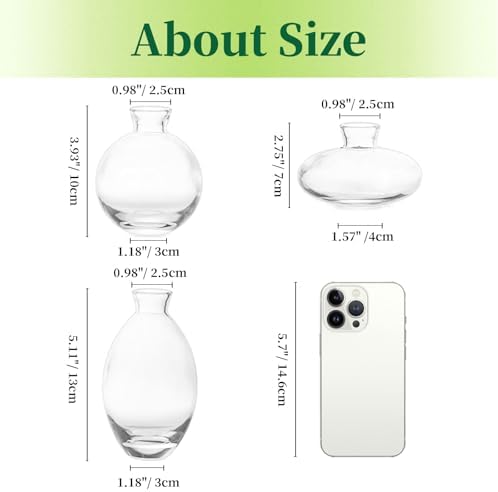 Glass Bud Vases Set of 12, Hewory Cute Clear Small Vases Handmade, Mini Glass Flower Vase for Floral Arrangement, Tiny Centerpiece for Wedding Party Events Home Office Table Decor (Not Include Flower) - Image 3