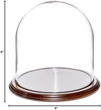 Plymor 8" x 8" Glass Display Dome Cloche (Dark Mahogany Veneer Base) - Image 2