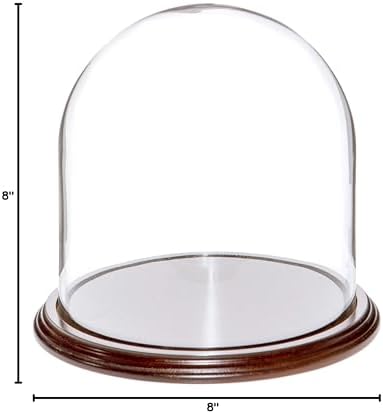 Plymor 8" x 8" Glass Display Dome Cloche (Dark Mahogany Veneer Base) - Image 2