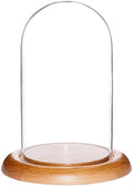 Plymor 4" x 7" Glass Display Dome Cloche (Oak Wood Base) by Plymor