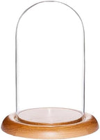 Plymor 4" x 7" Glass Display Dome Cloche (Oak Wood Base) by Plymor