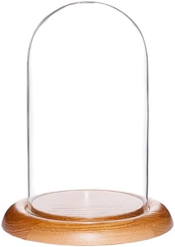Plymor 4" x 7" Glass Display Dome Cloche (Oak Wood Base) by Plymor